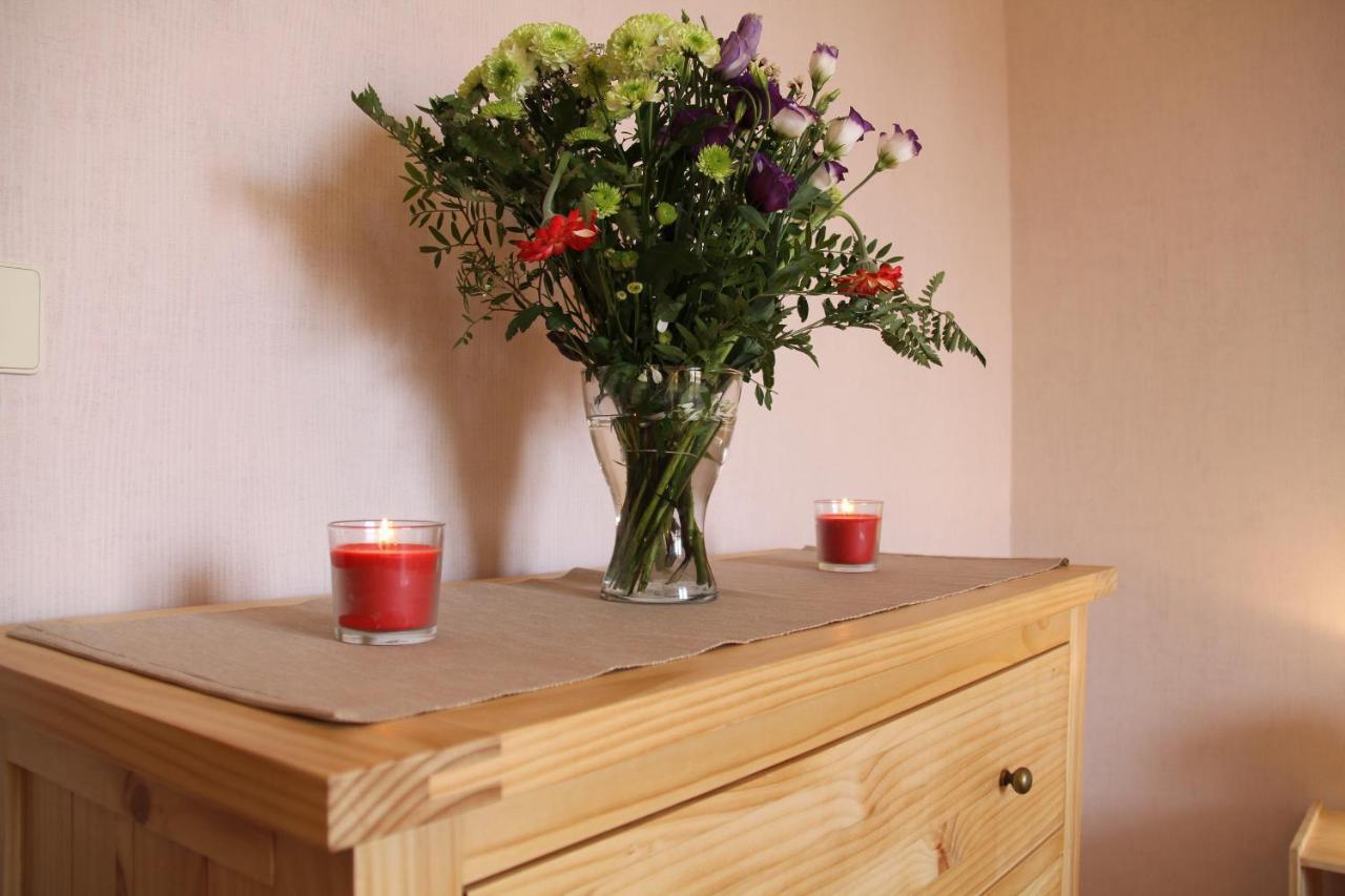 Au Lion D'Or Apartment Le Puy-en-Velay Luaran gambar